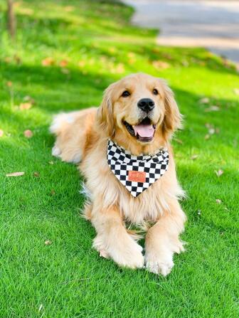 Checkered Print Pet Bandana, Suitable For Pets