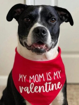 My Mom Is My Valentine, Collar Bandana For Cats And Dogs, Suitable For Pets