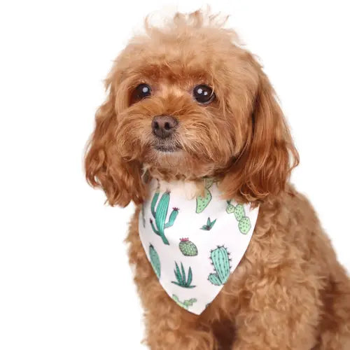 Dog Bandana, Cute Cactus Graphic Pet Saliva Towel Dog Triangle Scarf Puppy Bib Suitable For Pets